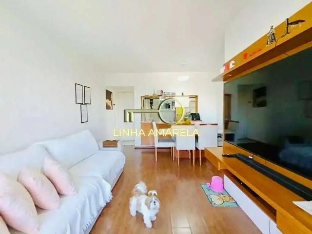 Apartamento para Venda em São Paulo/SP Jardim Bonfiglioli 3 Quartos