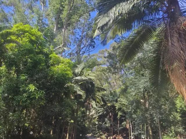 Apartamento para Venda em São Paulo/SP Jardim Catanduva 2 Quartos