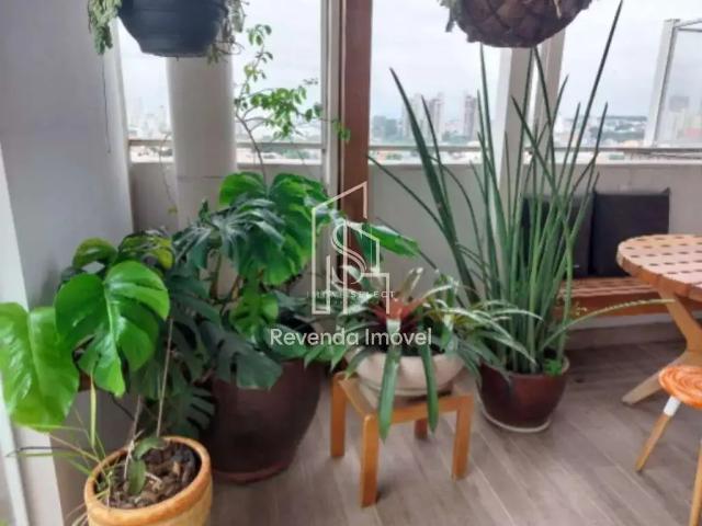Apartamento para Venda em São Paulo/SP Jardim da Saude 4 Quartos
