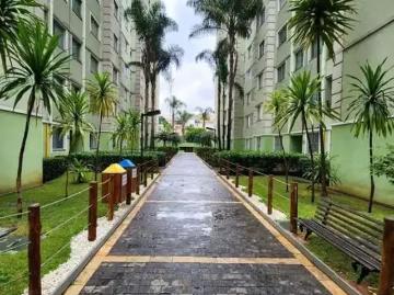 Rua dos Apiraís, Pedreira, São Bernardo do Campo, São Paulo