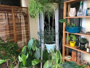 Apartamento para Venda em São Paulo/SP Lapa 3 Quartos