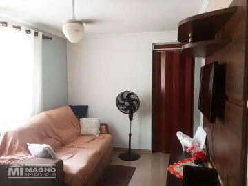 Apartamento para Venda em São Paulo/SP Limoeiro 2 Quartos
