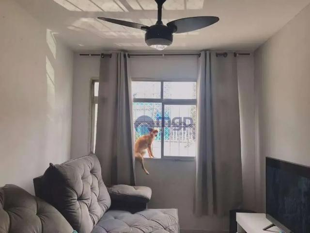 Apartamento para Venda em São Paulo/SP Parque Novo Mundo 2 Quartos