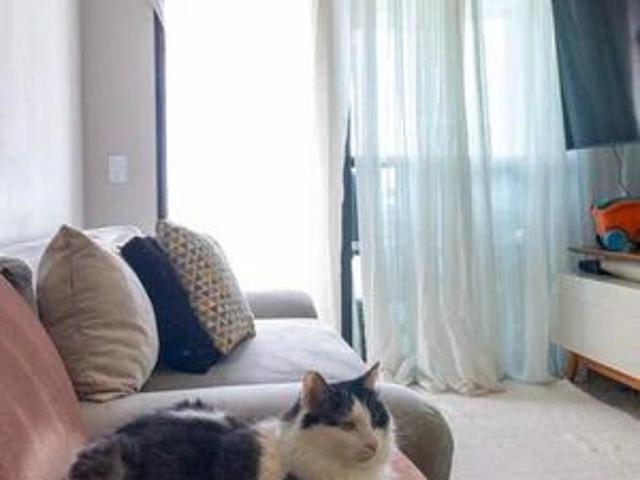 Apartamento para Venda em São Paulo/SP Penha De França 2 Quartos