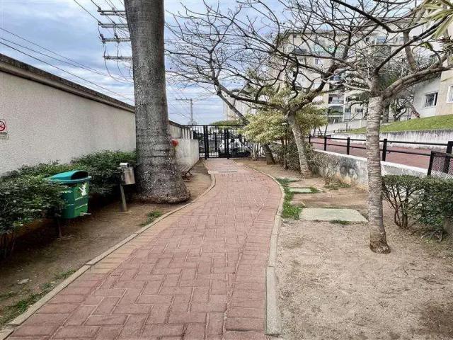 Apartamento para Venda em São Paulo/SP Sítio da Figueira 3 Quartos