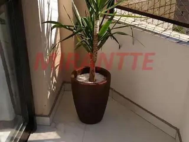 Apartamento para Venda em São Paulo/SP Tucuruvi 3 Quartos