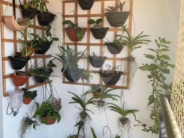 Apartamento para Venda em São Paulo/SP Tucuruvi 3 Quartos