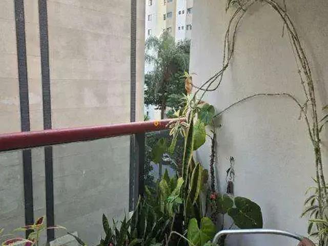 Apartamento para Venda em São Paulo/SP Tatuapé 3 Quartos