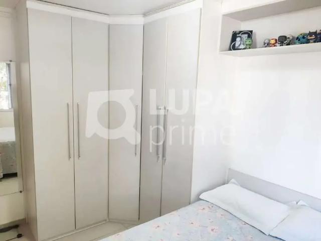 Apartamento para Venda em São Paulo/SP Vila Amélia 2 Quartos