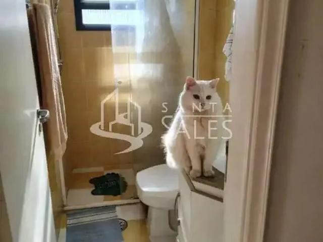Apartamento para Venda em São Paulo/SP Vila Guarani 3 Quartos
