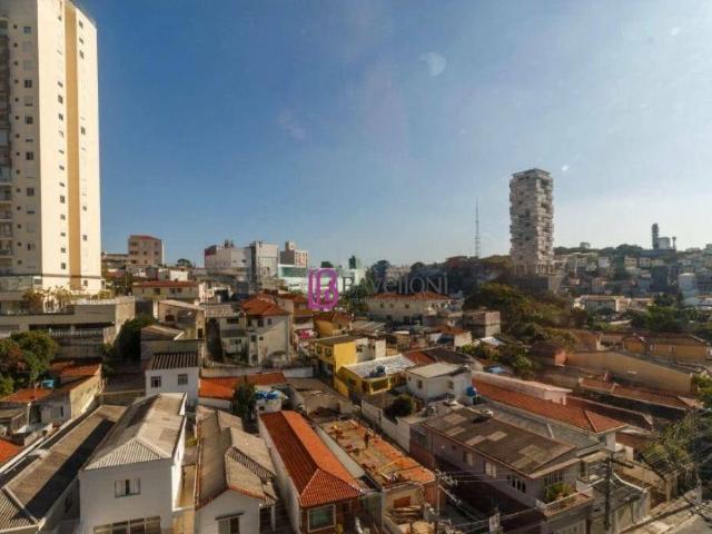 Apartamento para Venda em São Paulo/SP Vila Ipojuca 2 Quartos