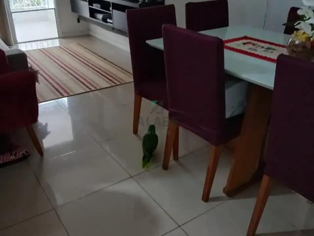 Apartamento para Venda em São Paulo/SP Vila Isa 3 Quartos
