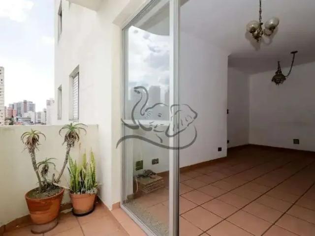 Apartamento para Venda em São Paulo/SP Vila Monte Alegre 3 Quartos