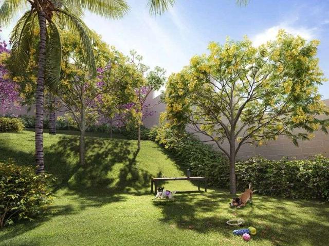 Apartamento para Venda em São Paulo/SP Vila Mariana 2 Quartos