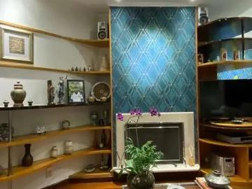Apartamento para Venda em São Paulo/SP Vila Mascote 3 Quartos