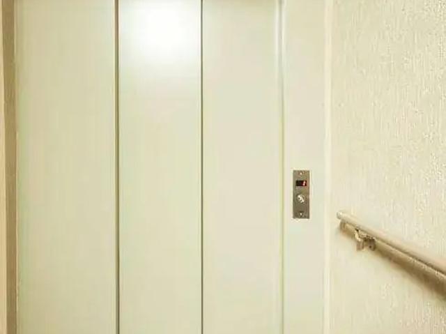 Apartamento para Venda em São Paulo/SP Vila São Geraldo 2 Quartos