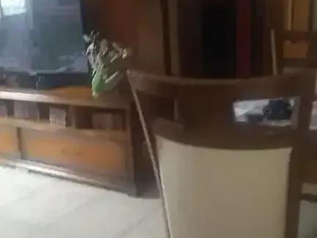 Apartamento para Venda em São Paulo/SP Vila São José 2 Quartos