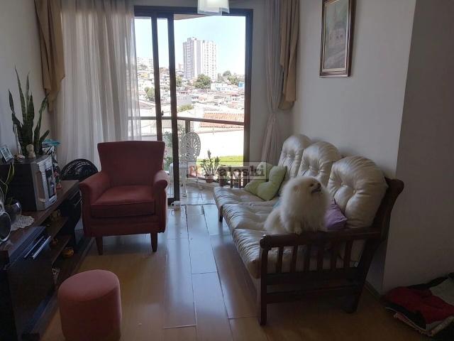 Apartamento para Venda em São Paulo/SP Vila Santo Estéfano 2 Quartos