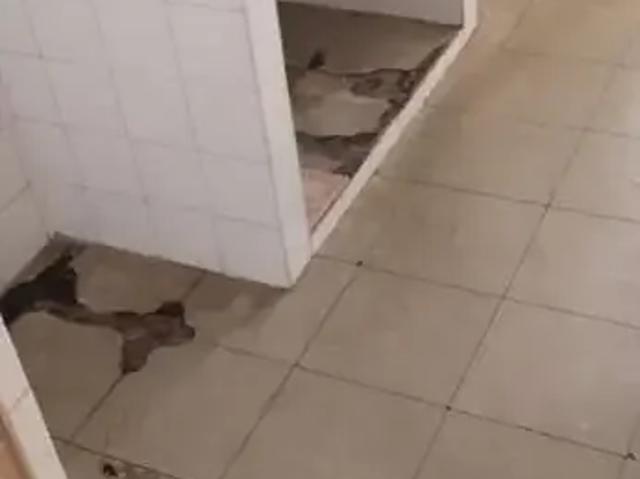 Apartamento para Venda em São Paulo/SP Vila Sílvia 2 Quartos