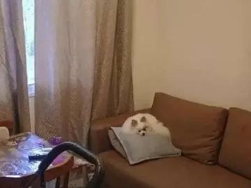 Praça Vinte e Um de Março - Segurança, Academia