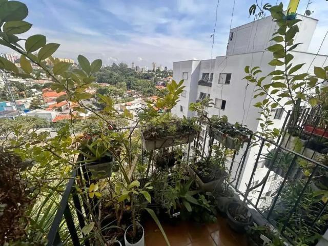 Apartamento para Venda em São Paulo/SP Vila Progredior 2 Quartos