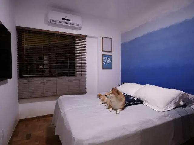 Apartamento para Venda em Salvador/BA Caminho das Árvores 1 Quartos