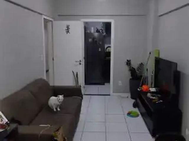 Apartamento para Venda em Salvador/BA Brotas 3 Quartos