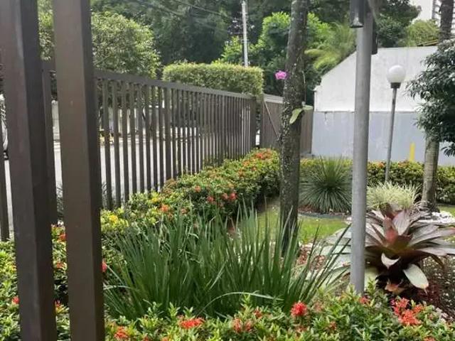 Apartamento para Venda em Salvador/BA Itaigara 3 Quartos