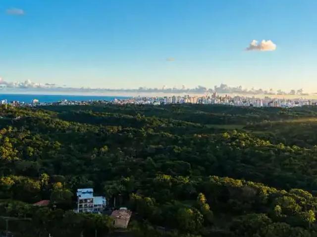 Apartamento para Venda em Salvador/BA Patamares 3 Quartos