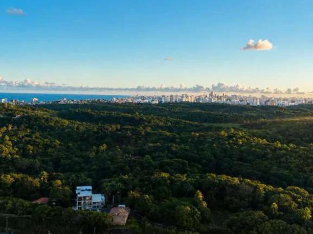 Apartamento para Venda em Salvador/BA Patamares 3 Quartos