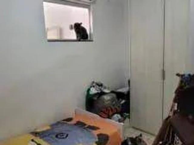 Apartamento para Venda em Salvador/BA Piatã 3 Quartos