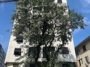 Rua Visconde de Faria, Campo Grande, Santos, Santos, São Paulo