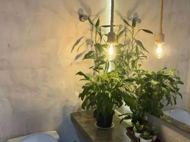 Apartamento para Venda em Santos/SP José Menino 1 Quartos