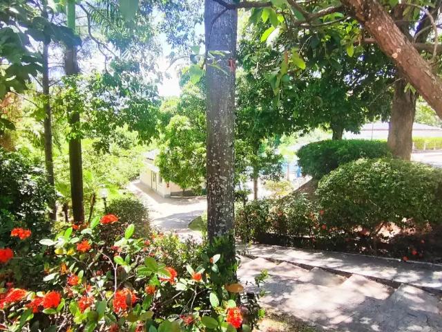 Casa / Sobrado para Venda em Serra/ES Santa Luzia 3 Quartos