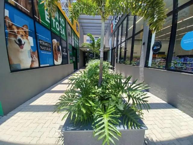 Apartamento para Venda em Sorocaba/SP Além Ponte 3 Quartos
