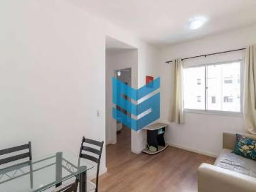 Sorocaba, São Paulo - Segurança, Piscina