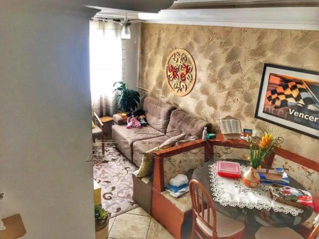 Apartamento para Venda em Sorocaba/SP Vila São João 3 Quartos