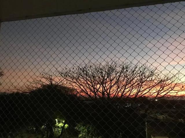 Apartamento para Venda em Taubaté/SP Parque Santo Antônio 3 Quartos