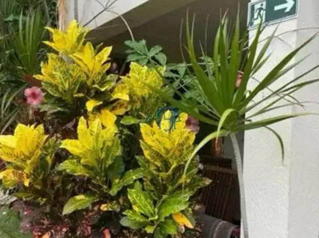 Apartamento para Venda em Tibau do Sul/RN Centro 2 Quartos