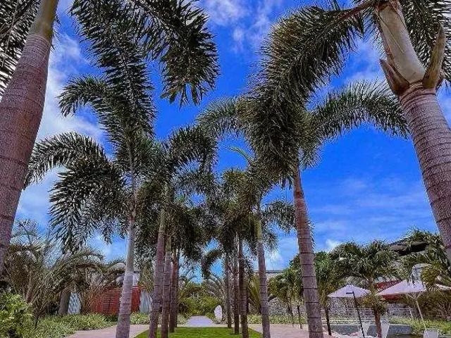 Apartamento para Venda em Tibau do Sul/RN Praia de Pipa 1 Quartos