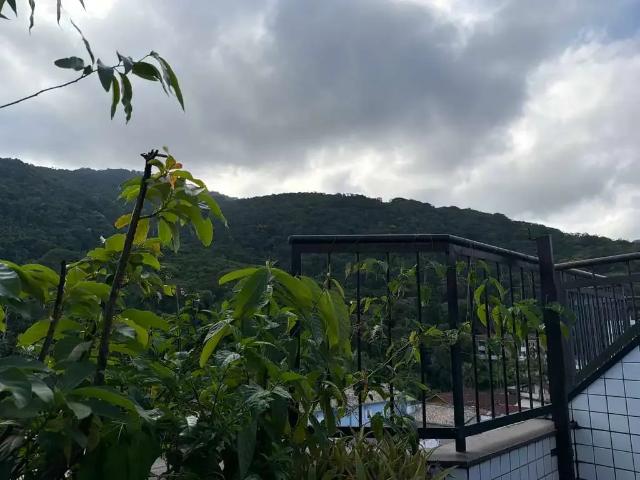 Apartamento para Venda em Ubatuba/SP Toninhas 2 Quartos