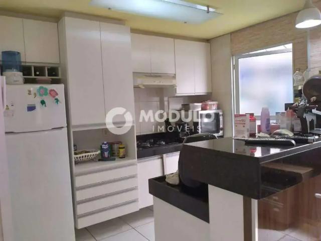 Apartamento para Venda em Uberlândia/MG Chácaras Tubalina e Quartel 2 Quartos
