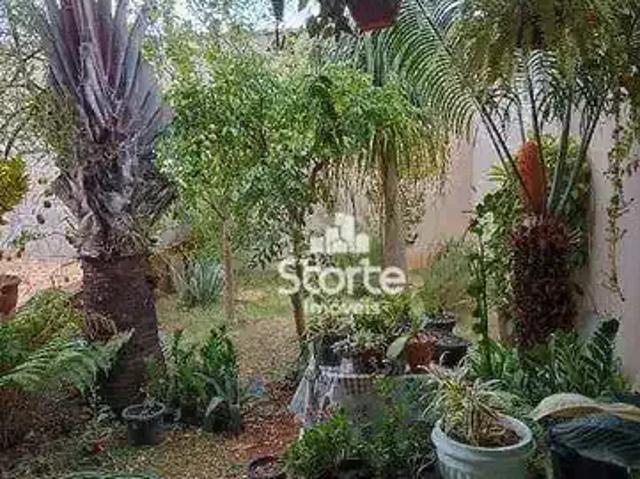 Apartamento para Venda em Uberlândia/MG Custódio Pereira 5 Quartos