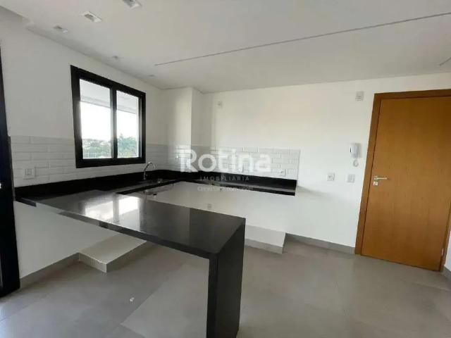 Apartamento para Venda em Uberlândia/MG Daniel Fonseca 2 Quartos