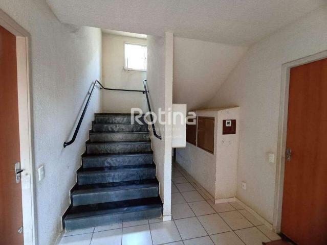 Apartamento para Venda em Uberlândia/MG Mansour 2 Quartos