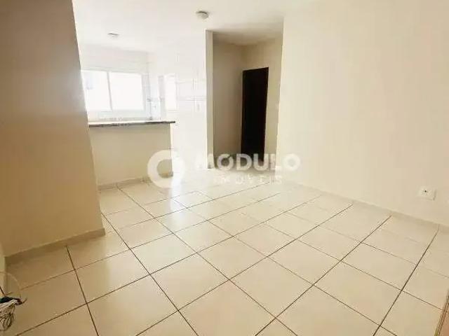 Apartamento para Venda em Uberlândia/MG Segismundo Pereira 2 Quartos