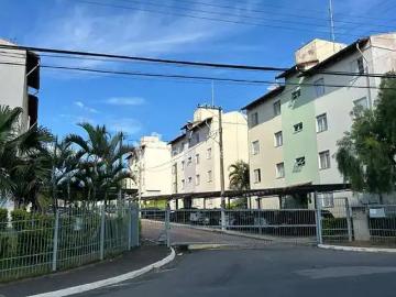 Apartamento para Venda em Valinhos/SP Jardim Maria Rosa 2 Quartos