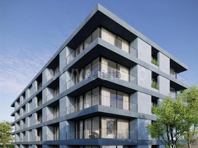 Apartamento, Paredes