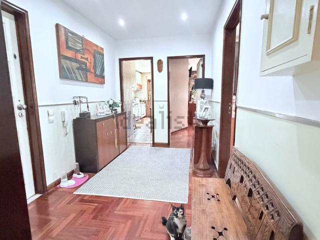 Apartamento, Perosinho