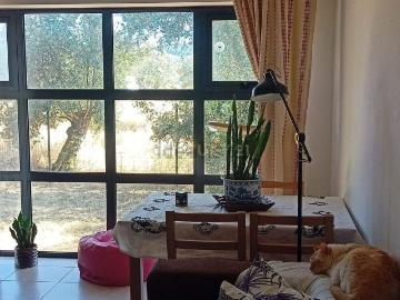 Apartamento, Quinta do Anjo